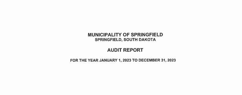 2023 City of Springfield Audit