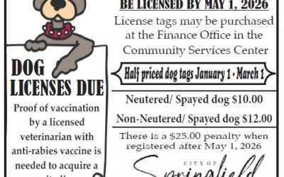 Half-Price Dogs Tags